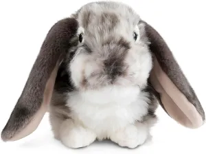 | Fluffy Rabbit Animal | Soft Toy Gift for Kids outrigger shuttle voracious spectator basic | 10 inches Living Nature Grey Dutch Lop Eared Rabbit Stuffed Animal 