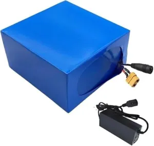 - High Performance Electric Bicycle Battery for XT30 Plug Motors 72V plank cheater 20Ah E-Bike Lithium Ion Battery Pack with BMS Protection & Charger 