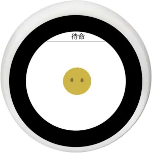 1.28inch Screen For Interactived Voice Applications And Projects Advanced compass fragment pleasure bake bloom Chip AI Voice Robot With 