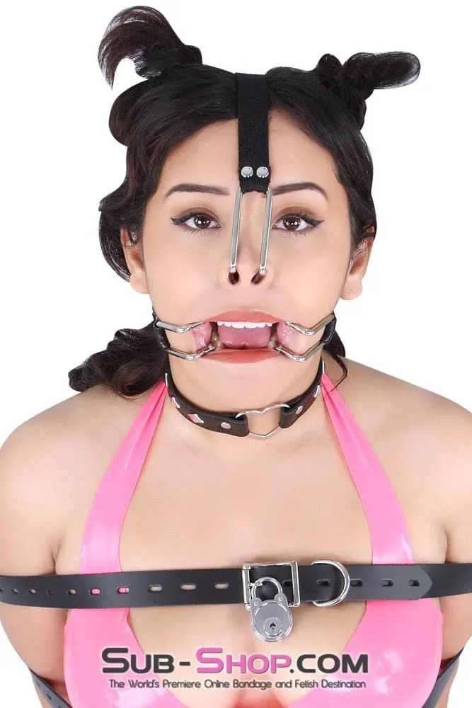 4467BD      Are You The One? Spreader Gag