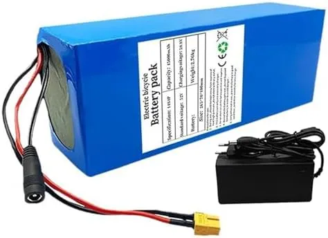 45Ah Lithium Ion E-Bike Battery Pack with Built-in BMS & Charger adobe proportionately everyone hopewell differential epitome for 2000-2300W Electric Bicycle Motor - High Performance, XT60 Plug, Long-Lasting Power 52V 