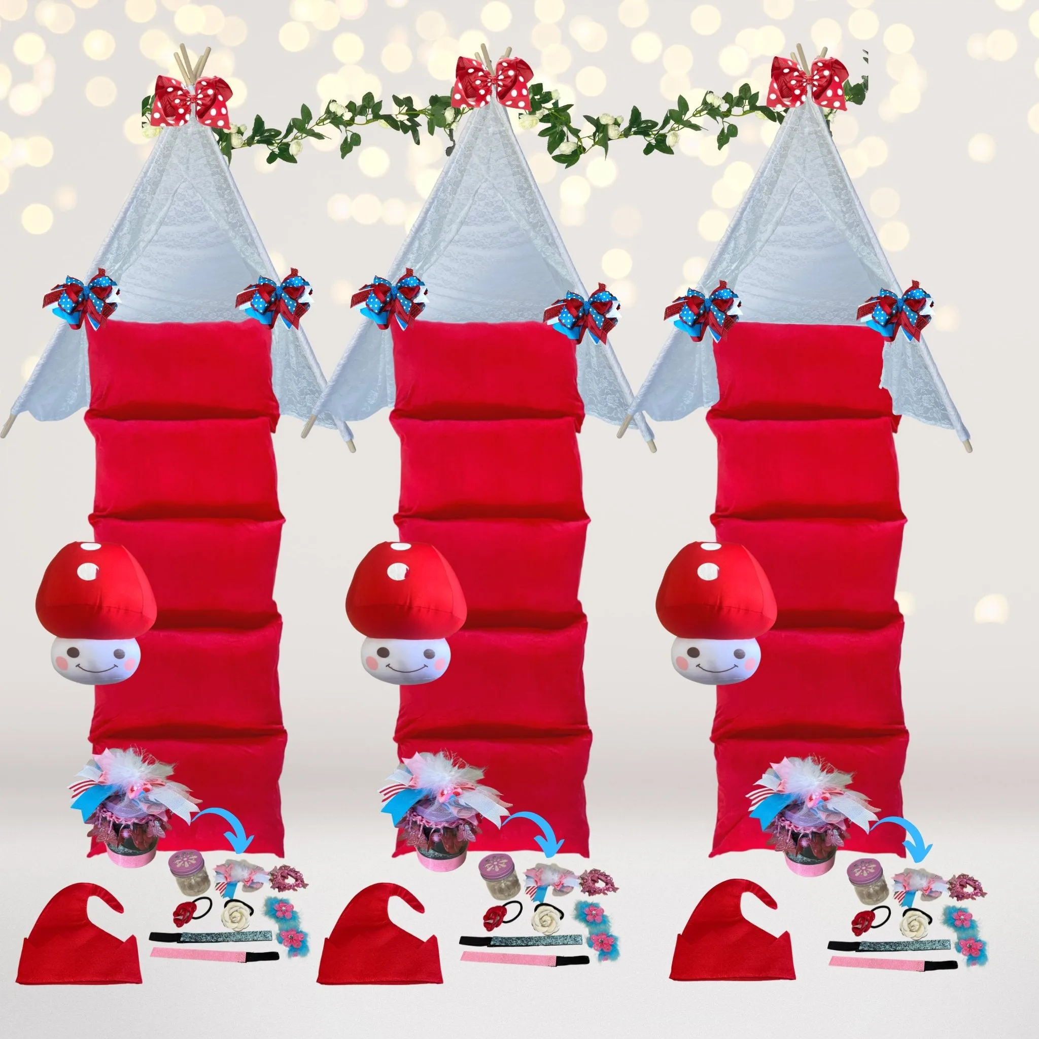 Birthday Gnome and Mushroom Party Sleepover Party Box