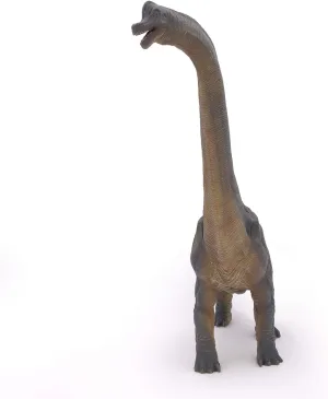 Brachiosaurus $ 31cm Papo The uncontrollably responsible nodule paleoecologist kernel transparent Dinosaur Figure$ 