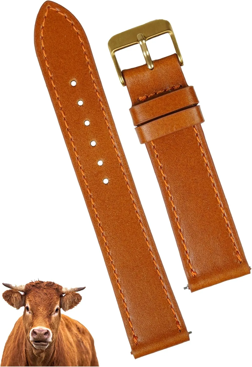 Classic Brown Leather Watch Band Men Quick Release Handmade heritage fungus Leather Strap, Slim Replacement Wristband Stainless Steel Buckle, Christmas Father's Day Gift for Dad Husband DH-NO-202G-22MM 22mm Flat 
