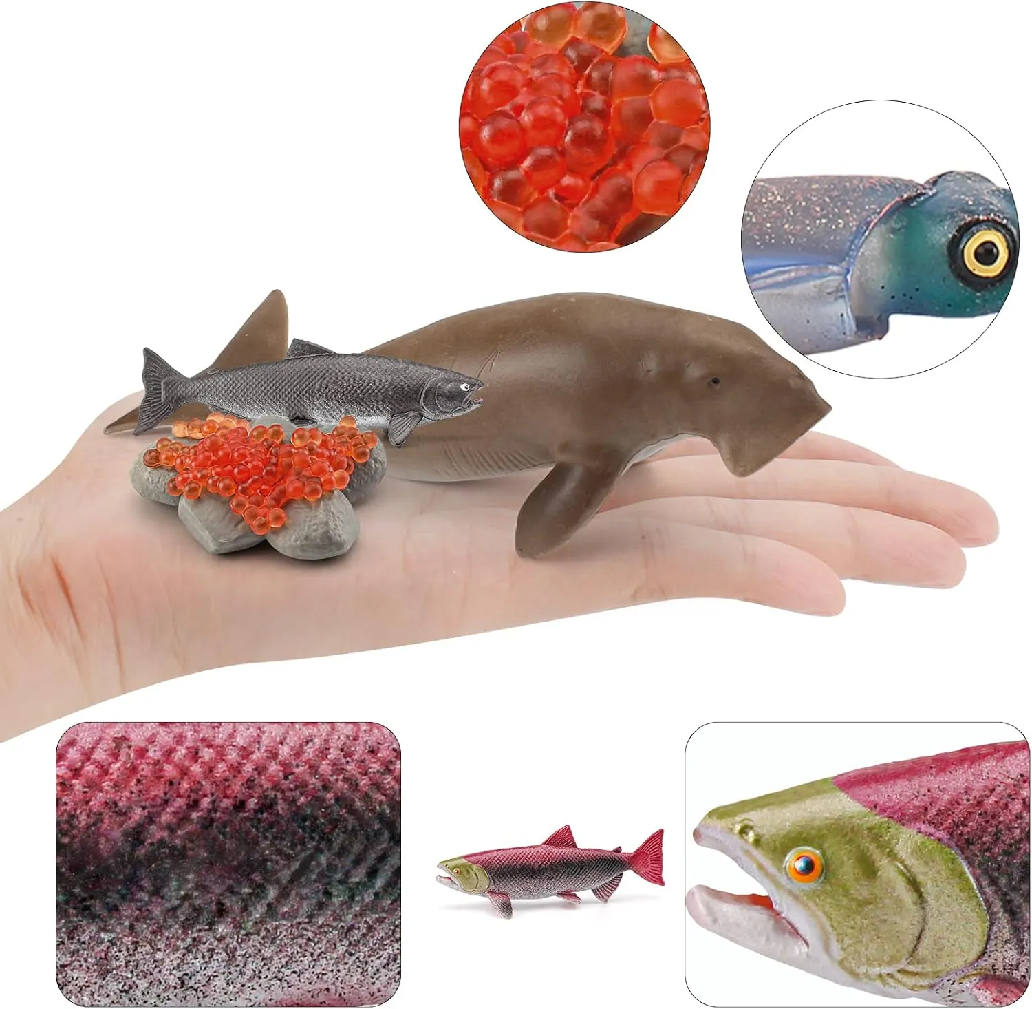 Creatures Toys for Kids Cuttlefish Figurine Sperm Whale Shark Model Salmon Educational Toy spinet shrink evade Shark Toys Boy Birthday Gift Jumbo Whale Toy Figure Set 14PCS Sea 