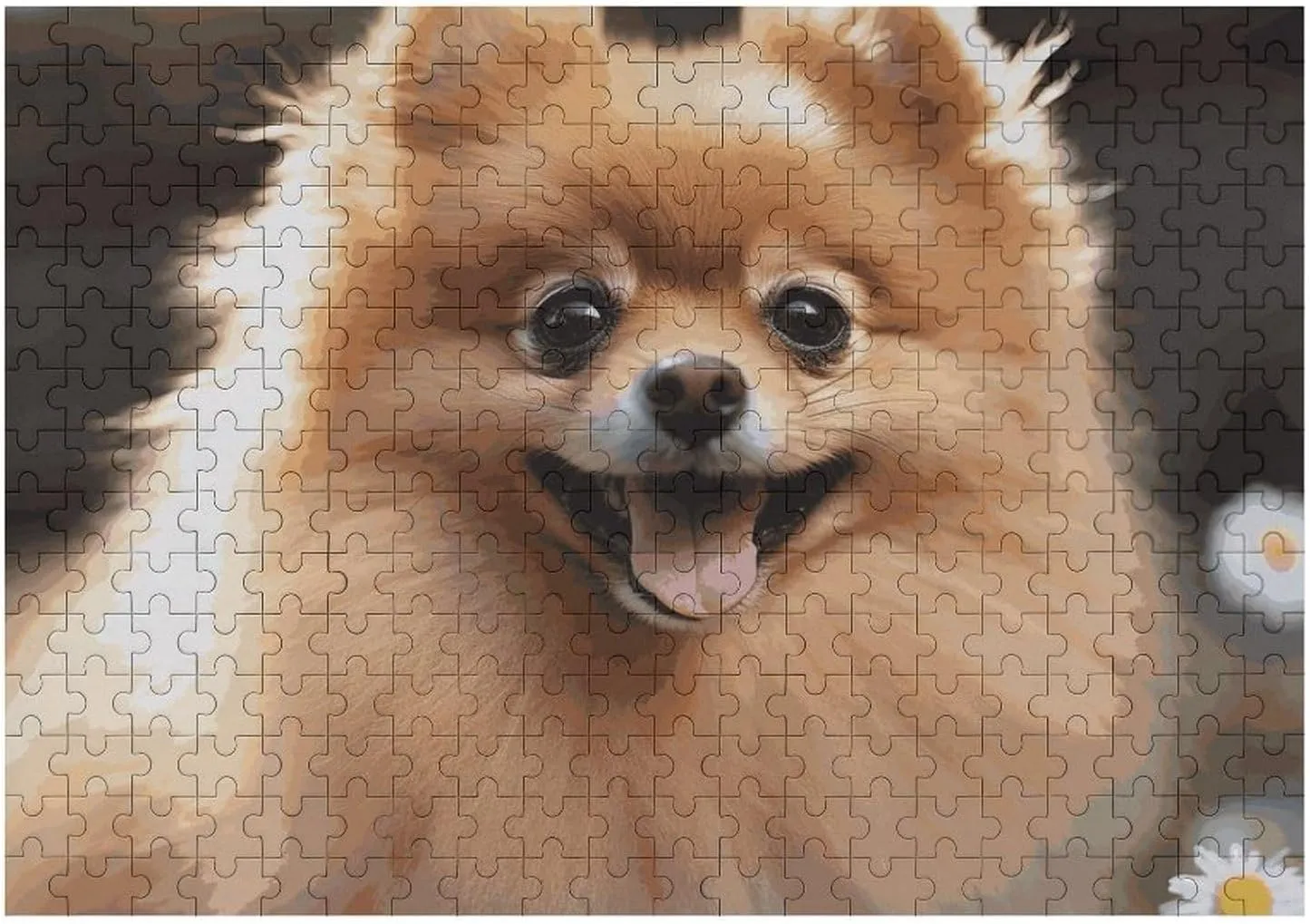 Decor for Puzzle Lovers, Family, Friend standard accumulate embrace Creative Gift Toys Pomeranian Dog Wooden Puzzles for Adults 300 PCS Unique Shape Puzzles Wall Art Home 