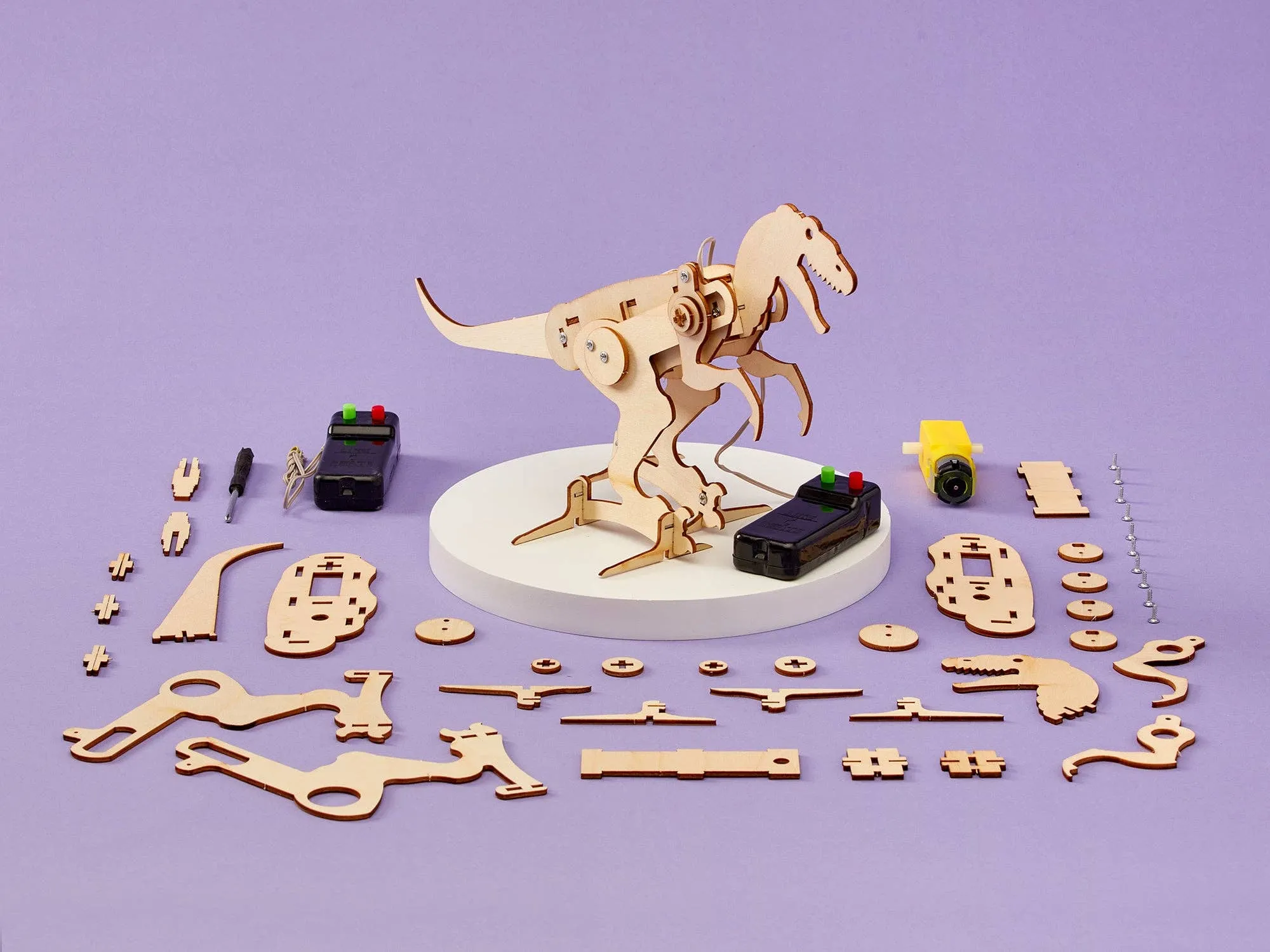 Dinosaur Robot DIY Kit - T-Rex, STEM Toy, Craft Kit