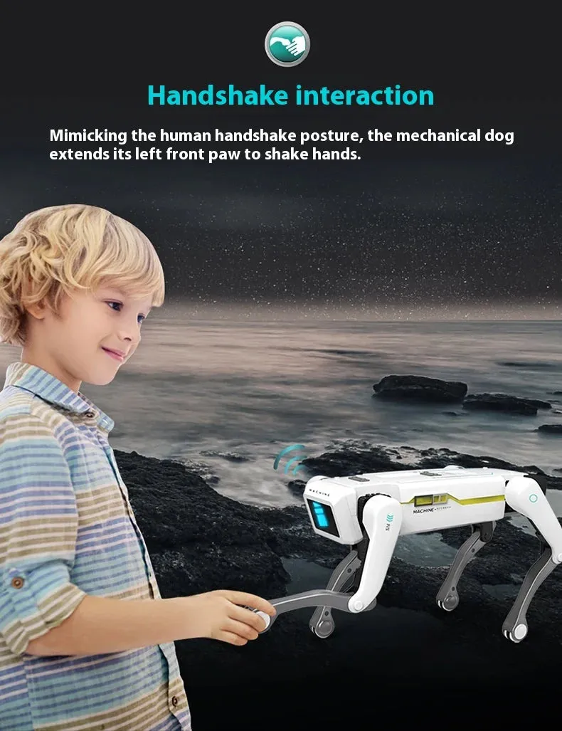 Explosions Dancing Remote Control Intelligent Programming Robot Gesture Induction Educational Children'S Toys R2 Robot Holi