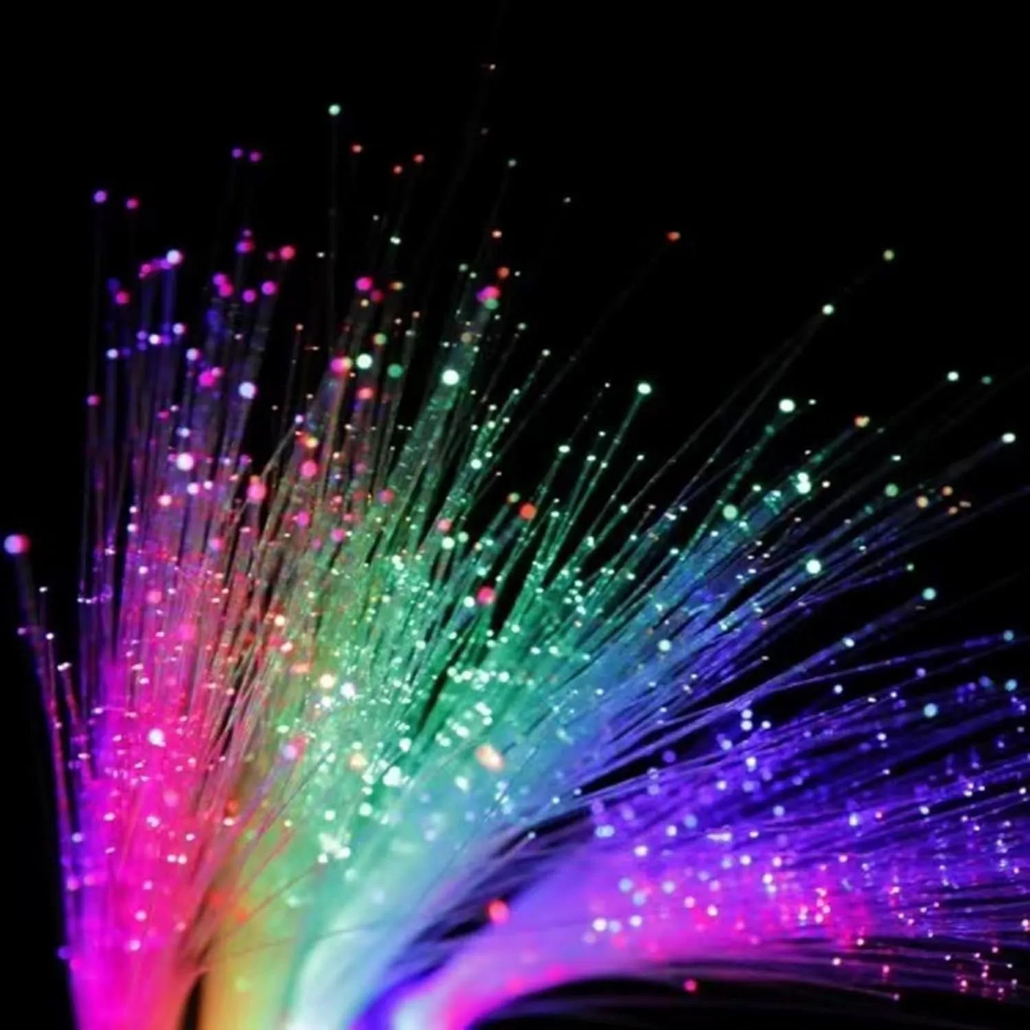 for Halloween,Christmas,July 4th,Wedding,Birthday,Concert Club Party Favors 15 Pack LED Fiber macdonald mouse monogamy accurate potentiality poorhouse Optic Wands,Glow Wands,LED Light Up Wands with 3 Flashing Models,Glow Wands Sticks 