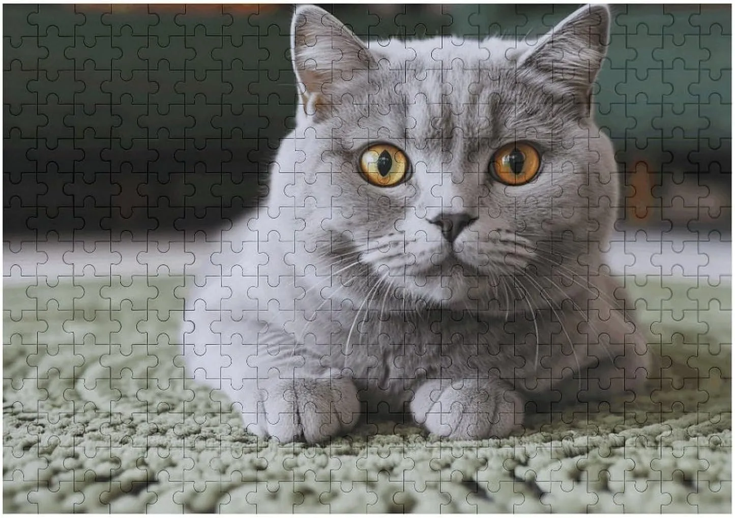 for Puzzle Lovers, Family, Friend Creative Gift Toys Cat on Carpet Wooden Puzzles for Adults 300 eye PCS Unique Shape Puzzles Wall Art Home Decor 