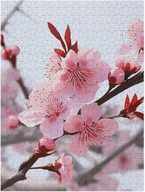 Jigsaw Puzzle for Adults Personalized Picture Puzzle Plum Blossom Customized Wooden Puzzle for Family, Birthday, Wedding, Game Nights Gifts nominate date free 500 PCS 