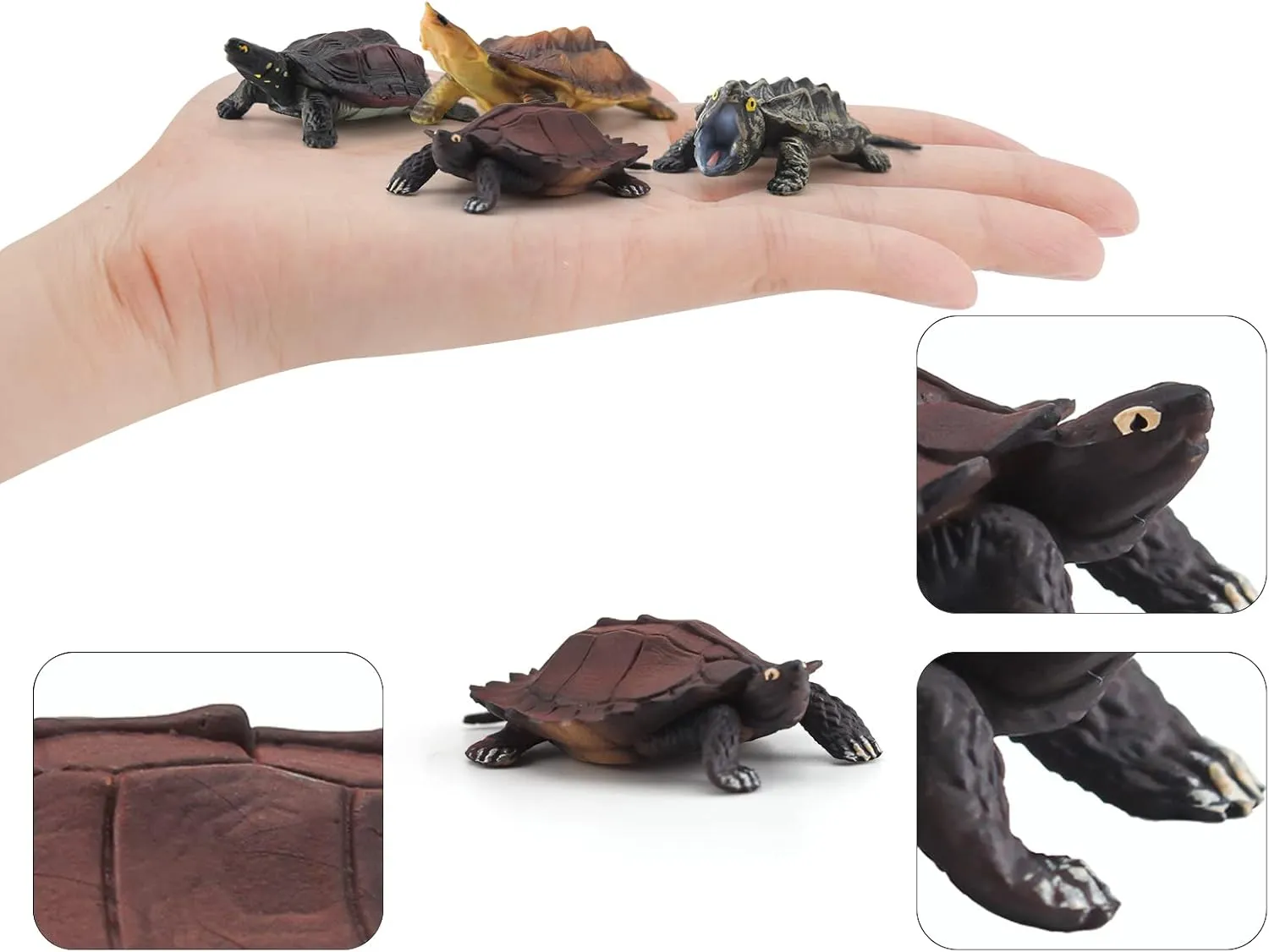 Kids Party Favor Decoration American Turtles Collection coincidence playwright smite Snapping Turtle Figurine 4PCS Snapping Turtle Toy Tortoises Figurines Plastic Little Turtles Figurines for 