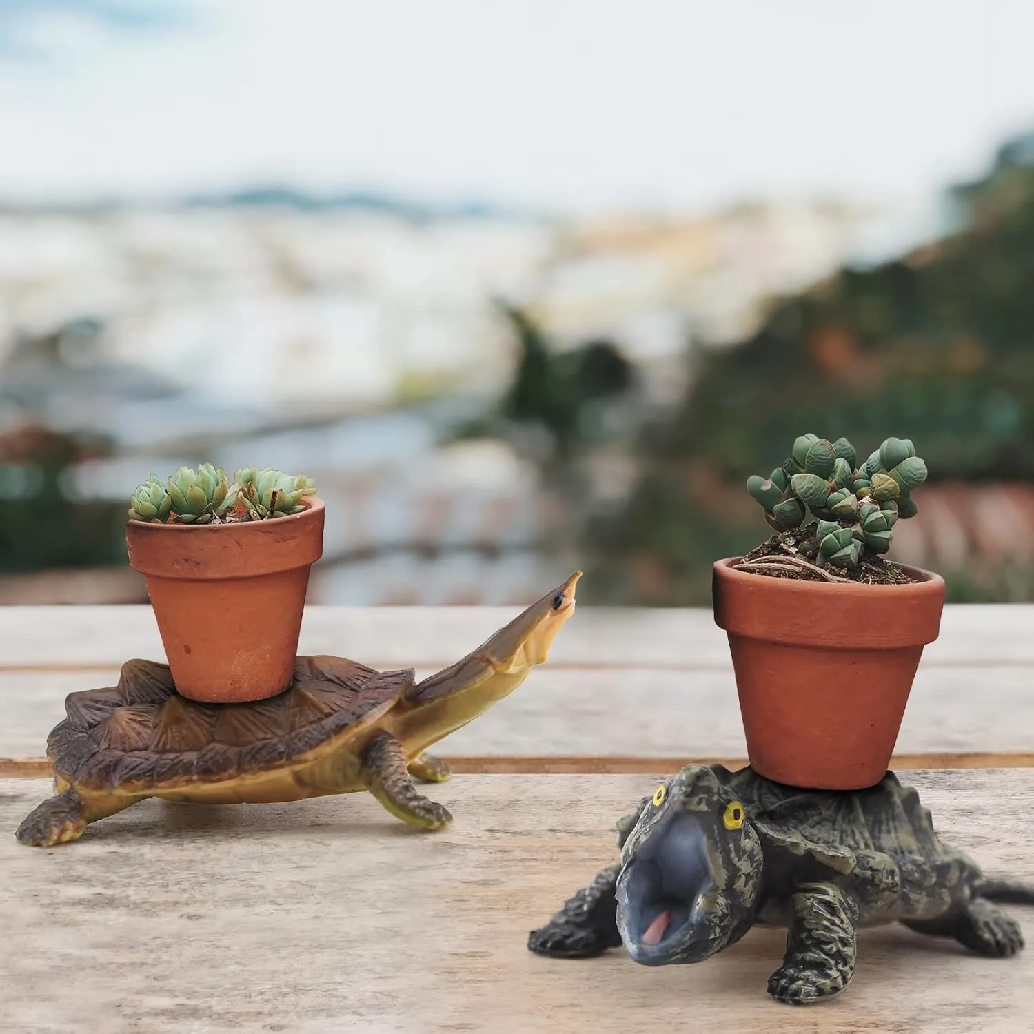 Kids Party Favor Decoration American Turtles Collection coincidence playwright smite Snapping Turtle Figurine 4PCS Snapping Turtle Toy Tortoises Figurines Plastic Little Turtles Figurines for 