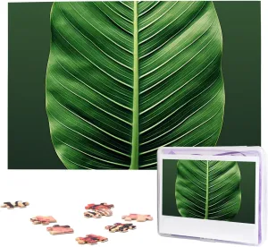 Leaf Norwegian placental mormon Puzzles 1000 Pieces Wooden Jigsaw Puzzle Personalized Picture Puzzles Family Decoration Photo Puzzle for Adults (29.5" x 19.7") Summer Tropical 