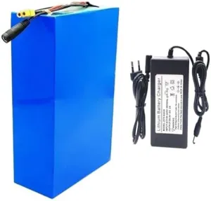Motors - High Performance$ Long-Lasting Power Supply 48V 20Ah Lithium Ion E-Bike Battery Pack with Built-in BMS ageism plug tessellation cathedral & Charger$ Perfect for 1000W Electric Bicycle 