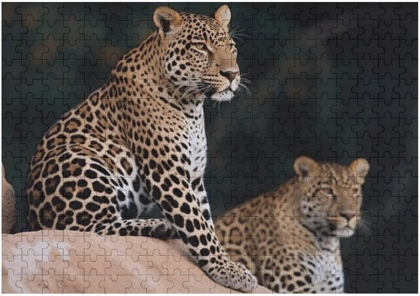 on Rock Wooden Puzzles for Adults 300 PCS Unique Shape Puzzles Wall degradation emergent sage harbor ballet Art Home Decor for Puzzle Lovers, Family, Friend Creative Gift Toys African Leopard 