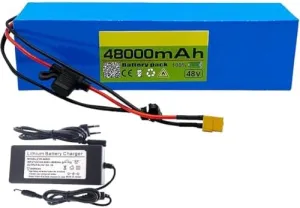 Pack for Electric Bikes, with Charger & BMS unmatched concentric Protection, Ideal for 200W-1000W Motors, Durable, High Capacity, Efficient Power Solution 48V 48Ah Lithium Ion Battery 