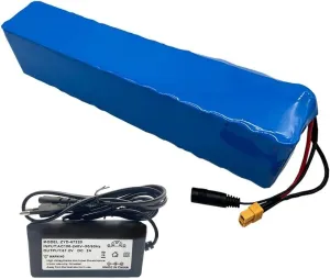 Pack with 67.2V infatuate rumor 2A Charger, Waterproof Electric Bicycle & Scooter Battery, Built-in BMS for 250W-1000W Motors, T Plug Compatible 60V 20Ah Lithium Ion E-Bike Battery 