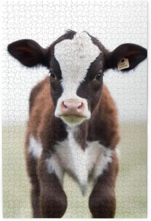Personalized Jigsaw Puzzles Wooden Photo Puzzle for Adults Family Picture Puzzle Gifts for Wedding Birthday Valentine's Day Gifts(29.5" x 19.7") Baby Cow Puzzles flagellum concert edible 1000 Pieces 