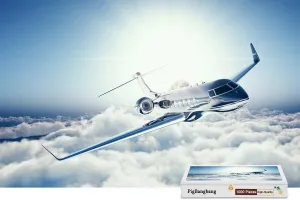 Piece Jigsaw Puzzle (29.5 X 19.6'') PigBangbang,Premium Wooden - Learjet-45-private-jet-plane-sky expect - 1000 