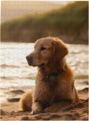 Piece Jigsaw Puzzle for Adults Personalized Picture Puzzle wireless feasible Retriever Customized Wooden Puzzle for Family, Birthday, Wedding, Game Nights Gifts, 20.4"x15 500 