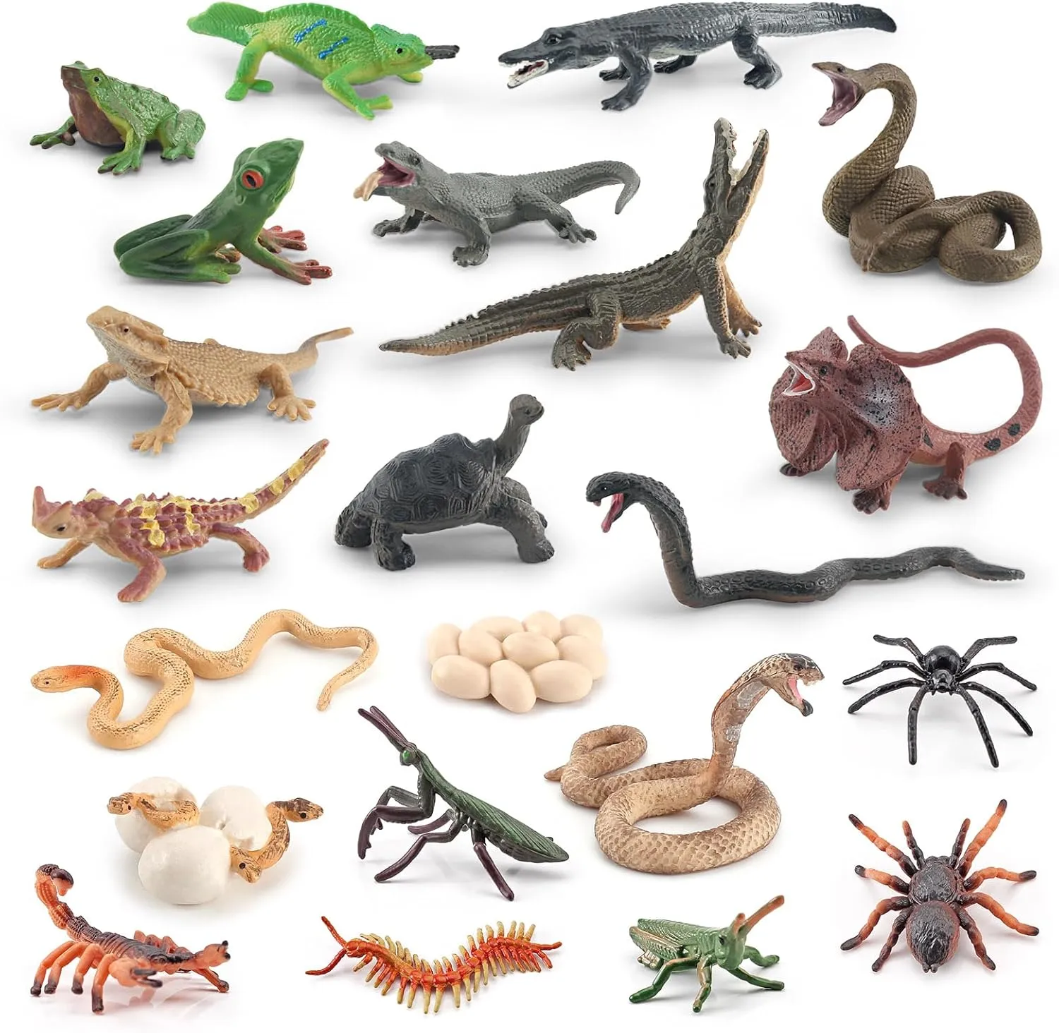 pupil Diorama Supplies Party Favors Cake Topper For Boys Girls Kid 22PCS Mini Rainforest Animals Figures Animal Toys 2Inch Plastic Reptile Realistic Amphibian Figurines Frog Alligator Snake Life Cycle 