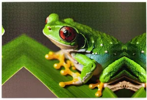 Puzzle - 1000 Pieces - Eco-Friendly relegate Material for Friends Tree Frog Baby Personalized Wooden Jigsaw 