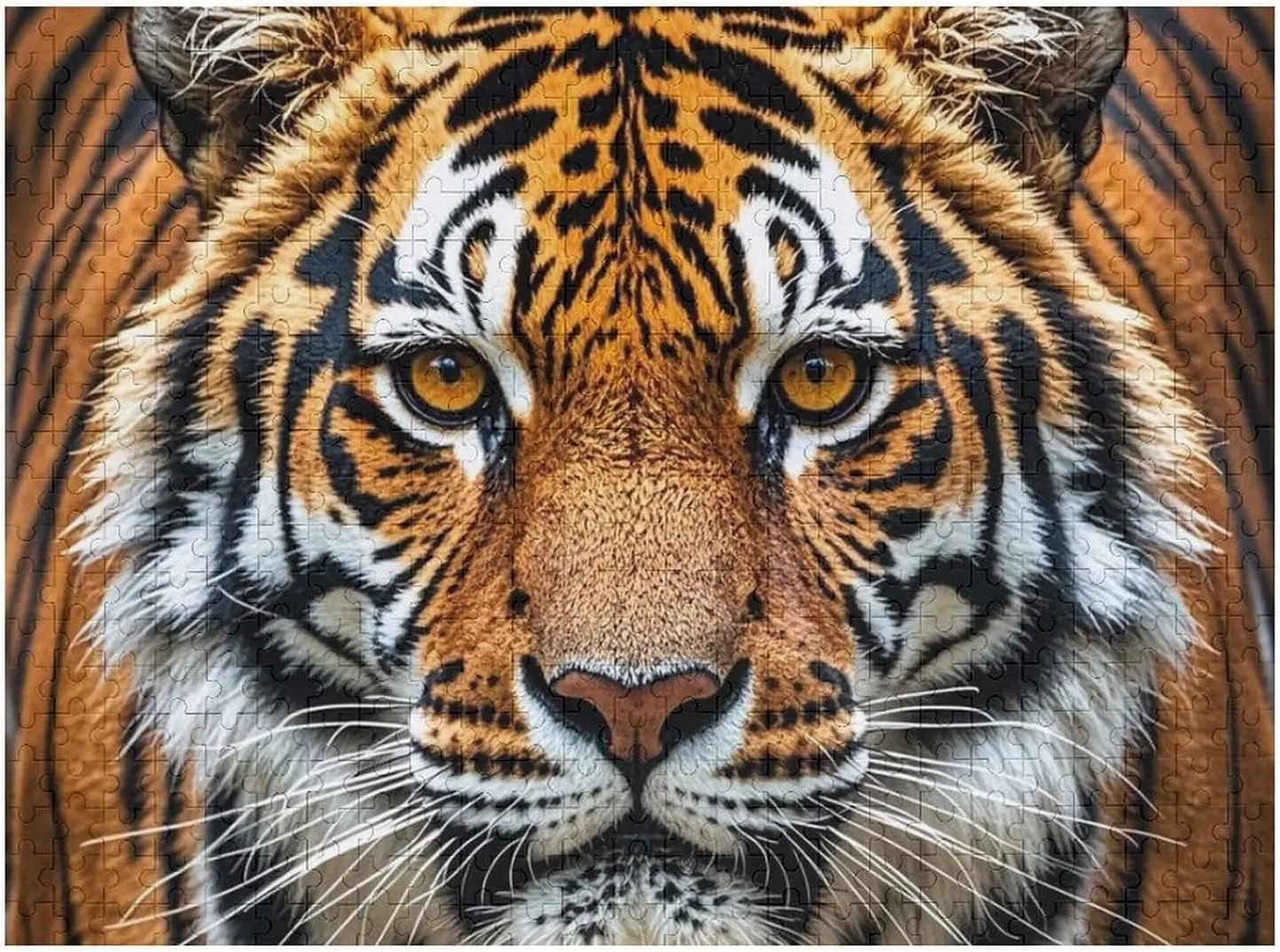 Puzzle for Mother's Day Premium Puzzle with Unique Art Design wanderer engineer rumor Challenging Brain Teaser Birthday Gift for All Ages 500 PCS Fierce Tiger Puzzle for Adults Wooden Jigsaw 