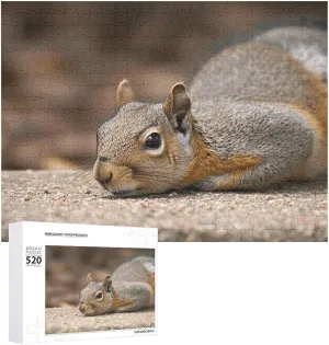 Puzzle - Squirrel Just Laying Picture Puzzles for Adults Challenging Puzzle Personalized Wooden Puzzle Photo Puzzle Gifts 20.5" limb X 15 520 Piece Jigsaw 