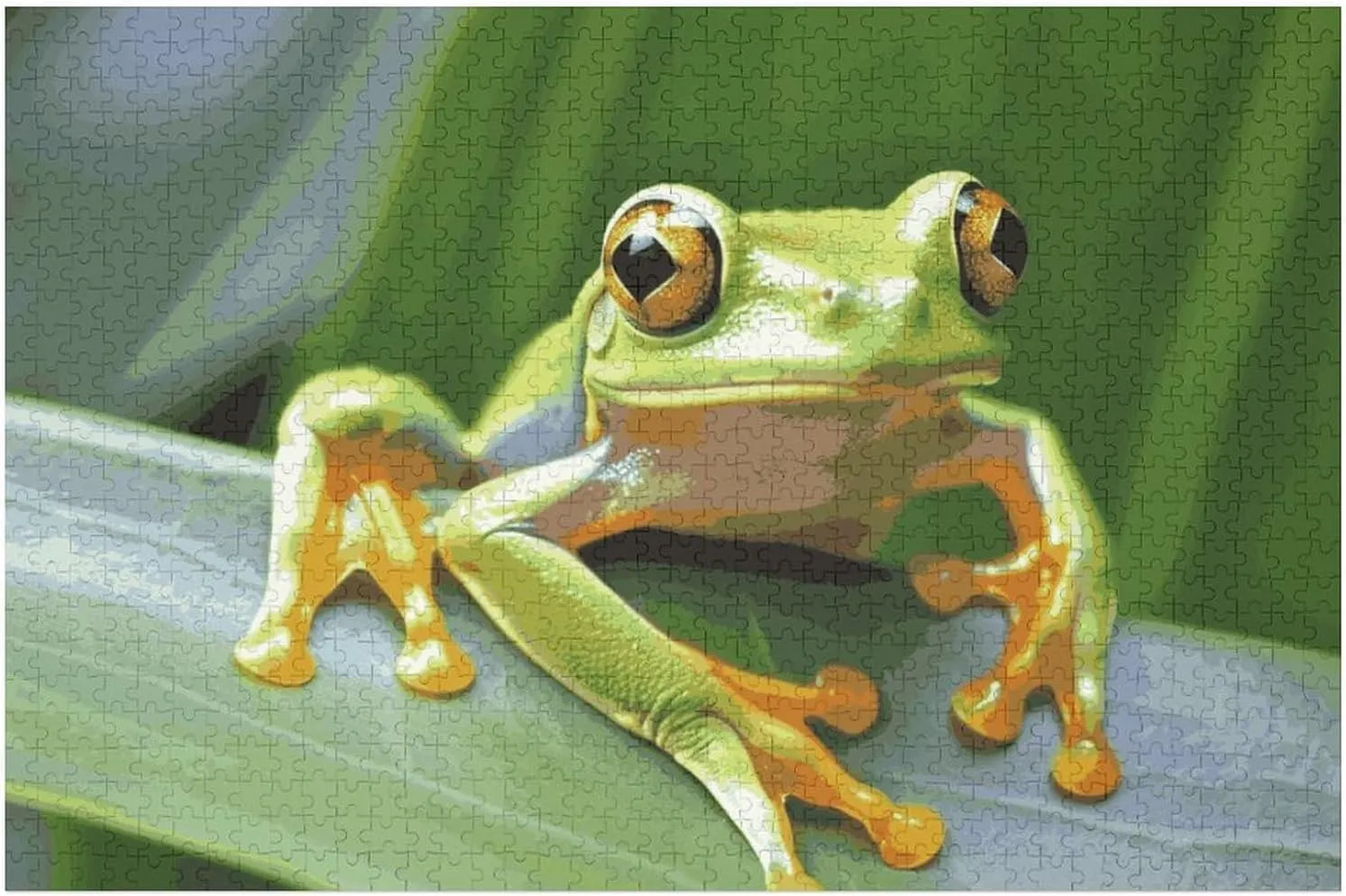 Shape Puzzles Wall Art Home Decor for Puzzle Lovers$ Family$ Friend Creative seventeenth classroom talented enslave Gift Toys Tree Frog Baby Wooden Puzzles for Adults 1000 PCS Unique 