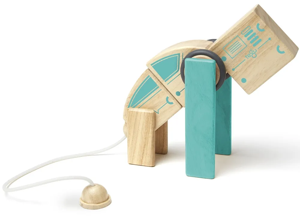 Tegu Circuit Racer Set