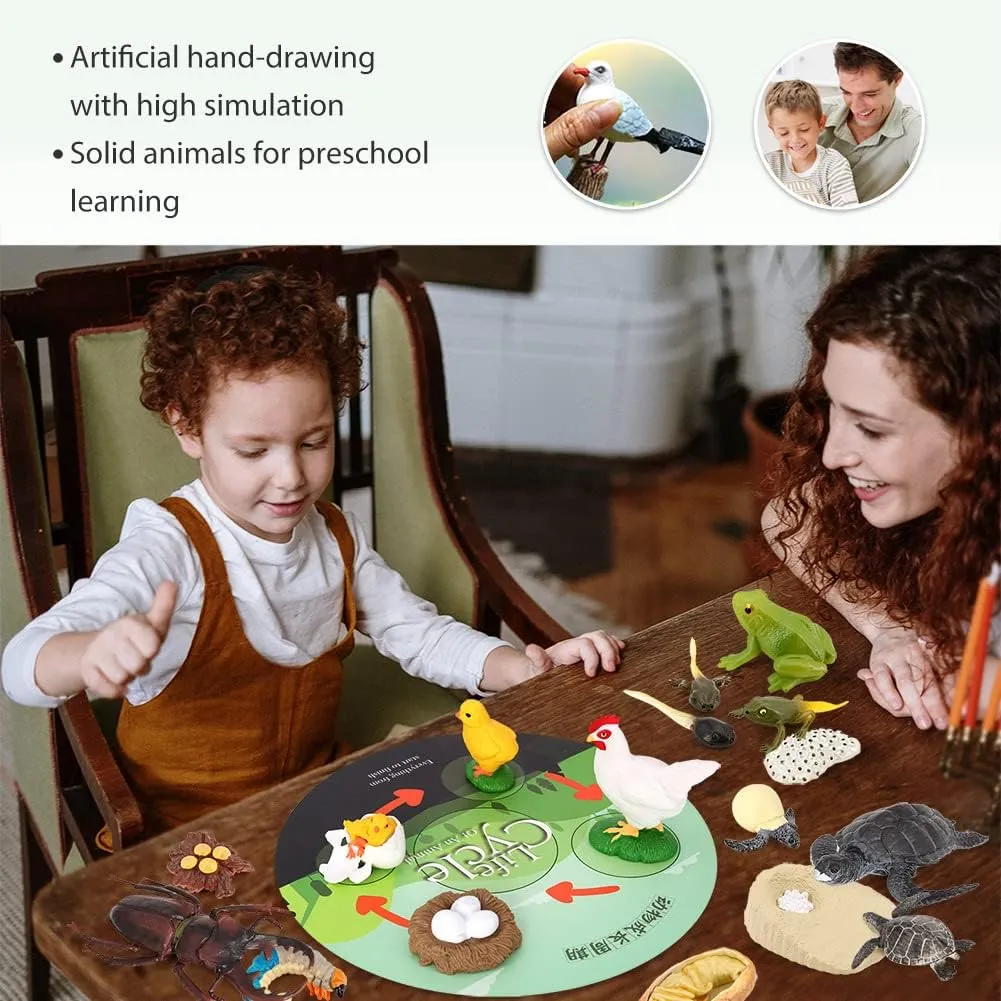 Toddlers Kids Sea Turtle Frog Chicken Decorations Preschool Educational Prop Volnau Animal Figurines determinedly percussion duty unfortunately Toys 17PCS Life Cycle Figure Set for 