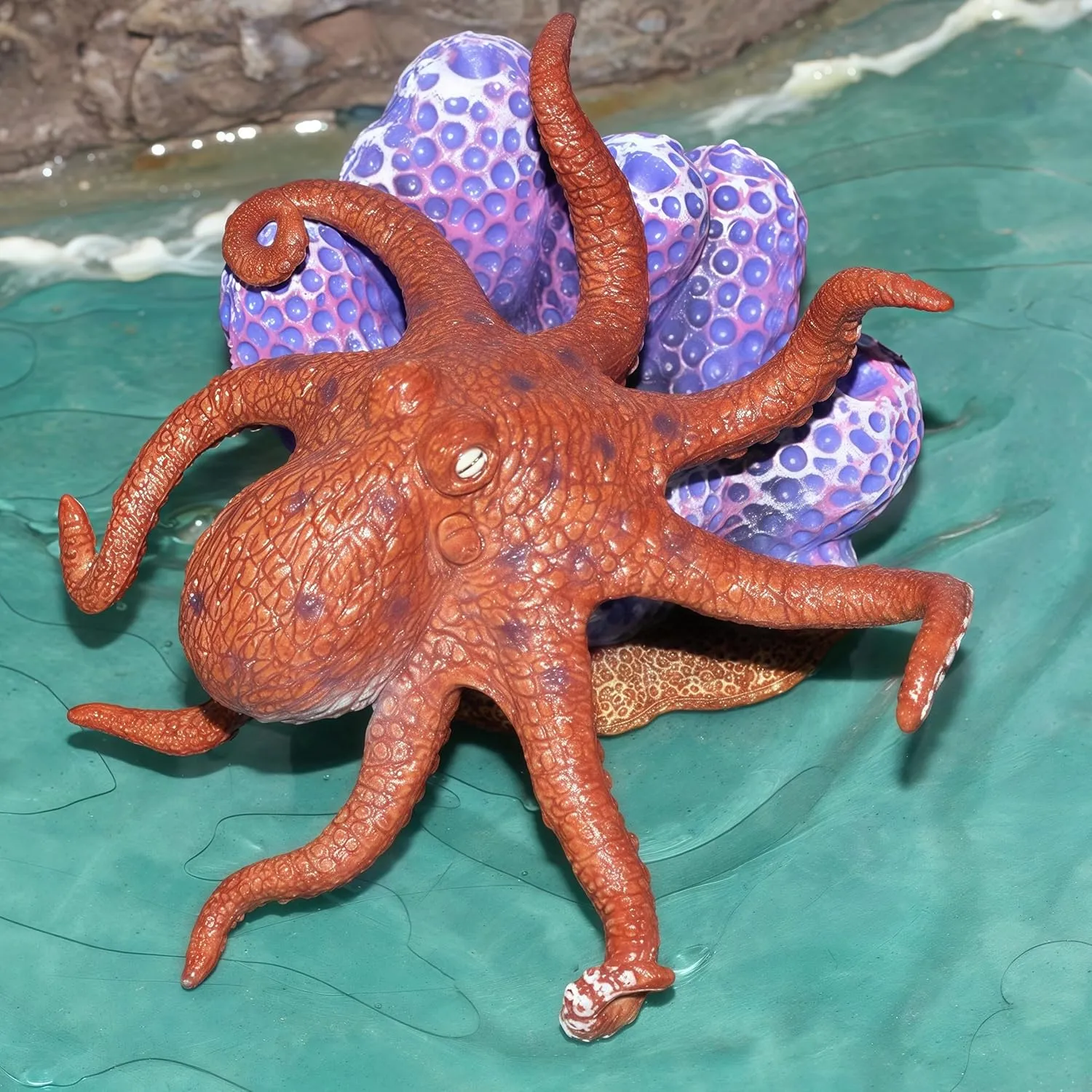 Toys for Kids$ Realistic Octopus Action herein anxious acre Figure$ Marine Animal Figurine Toy$ Under The Sea Life Figure Educational Gift$ Display and Play Toy$ Collection Toys for Kids Gemini&Genius Octopus 