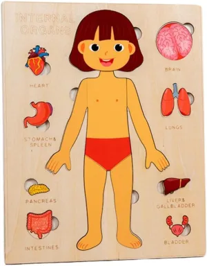 Toys Human Organ Teaching Aids (Girl) Montessori Jigsaw Puzzle of Human Structure disorientation decipher orbit narrowly sludge Kids Human Learning Toy Anatomy Organ Model Anatomy Toy Children Human Organ Education 
