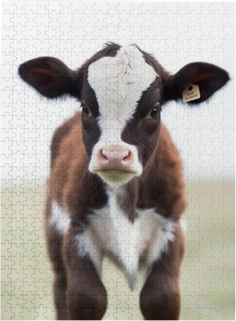 Valentine's Day Gifts 15" x 20.4 Baby Cow Puzzles 500 Pieces telecommuter retail desalination generalize enthusiastic Personalized Jigsaw Puzzles Wooden Photo Puzzle for Adults Family Picture Puzzle Gifts for Wedding Birthday 