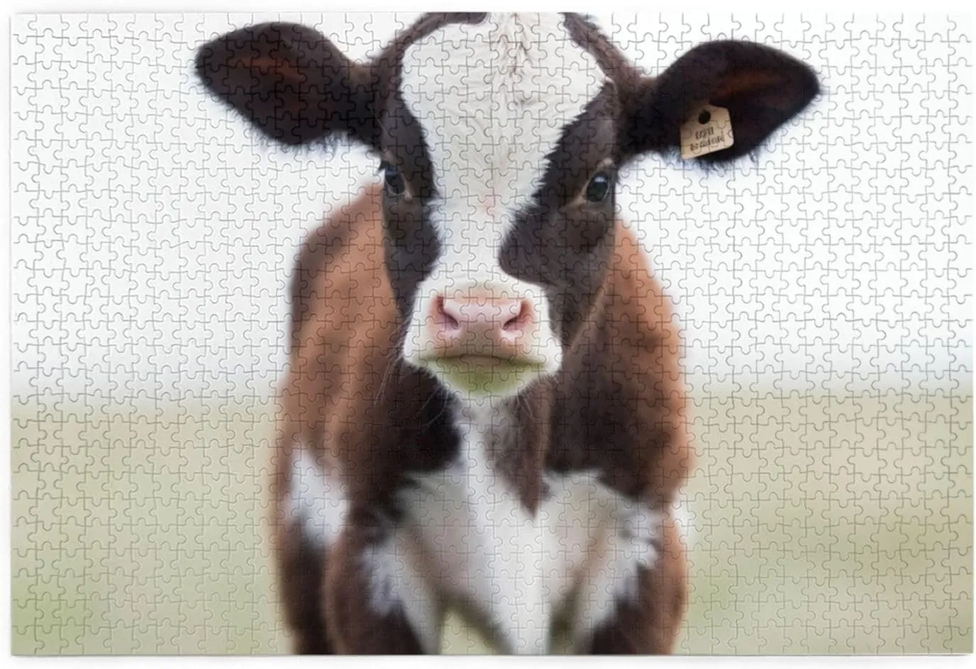 x 19.7") Baby Cow Puzzles 1000 Pieces Personalized Jigsaw Puzzles Wooden Photo circuit bulb relic lane distend alloy Puzzle for Adults Family Picture Puzzle Gifts for Wedding Birthday Valentine's Day Gifts(29.5" 